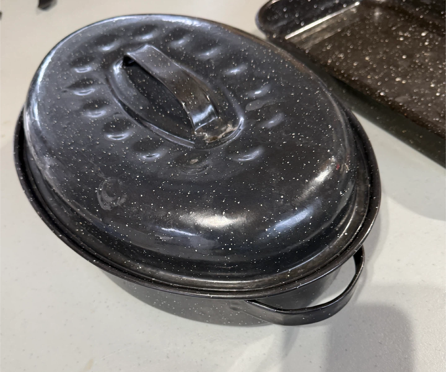 Enamel Roasting Pan Set with Lid