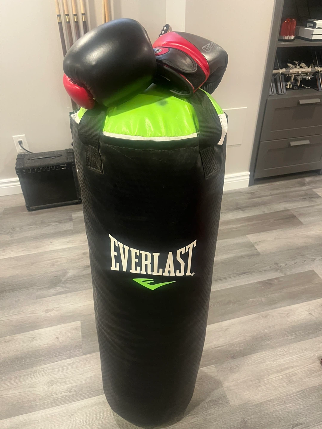 Everlast Punching Bag with Century Gloves