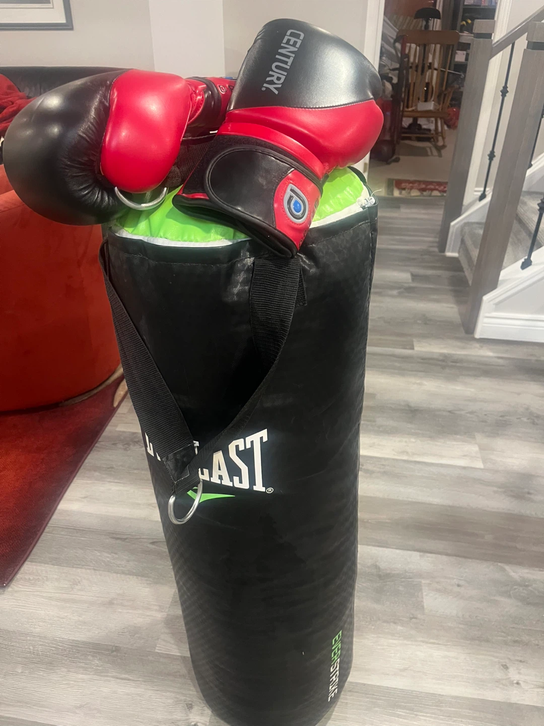 Everlast Punching Bag with Century Gloves - photo 2