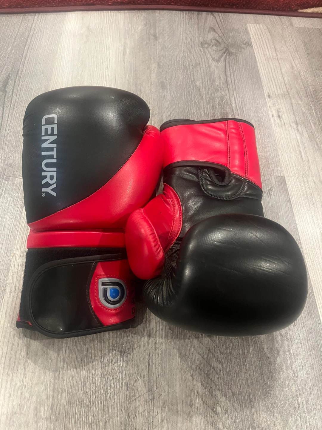 Everlast Punching Bag with Century Gloves - photo 3
