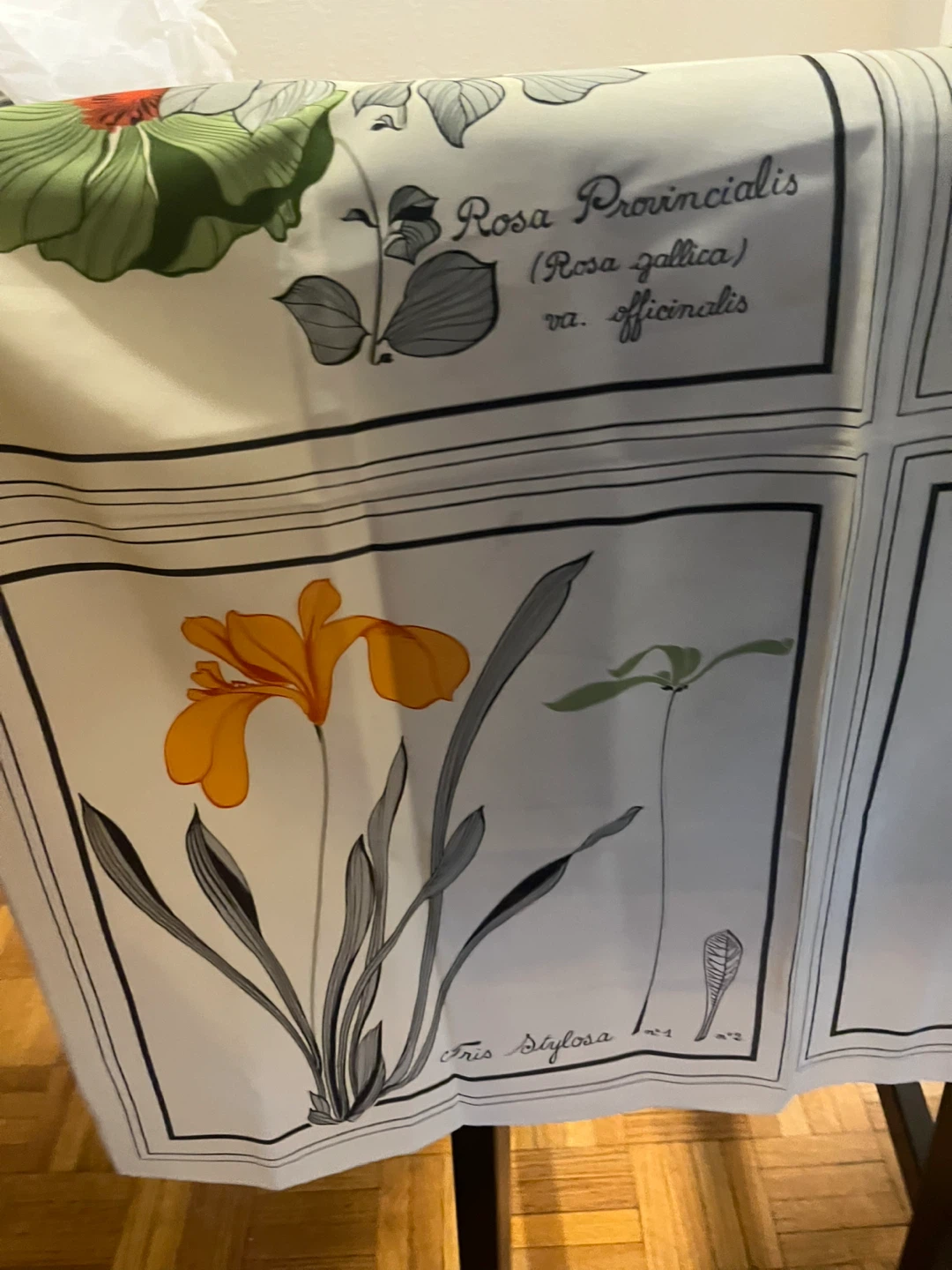 ECHO SILK SCARF Botanical Print Silk Scarf