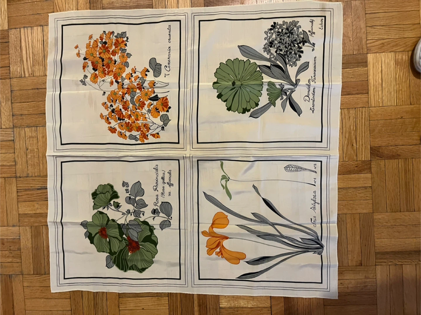 ECHO SILK SCARF Botanical Print Silk Scarf - photo 3