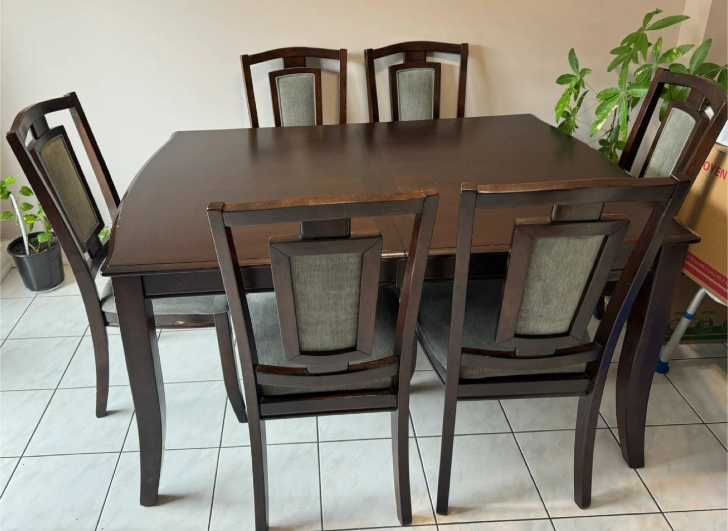 Dining Table and 6 Chairs - photo 3