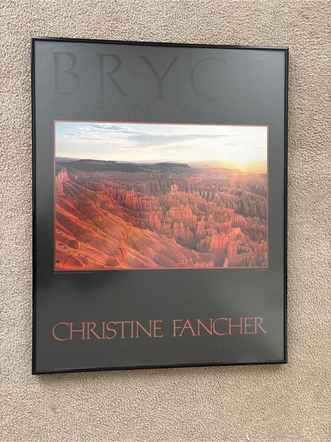 Bryce Canyon Christine Fancher Framed Print