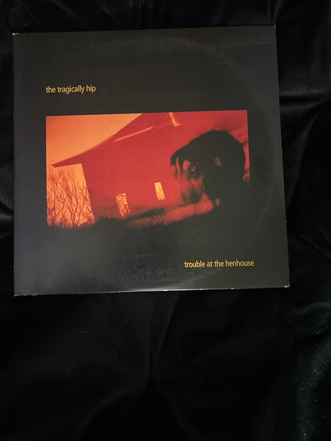 The Tragically Hip Trouble at the Henhouse Vinyl Record