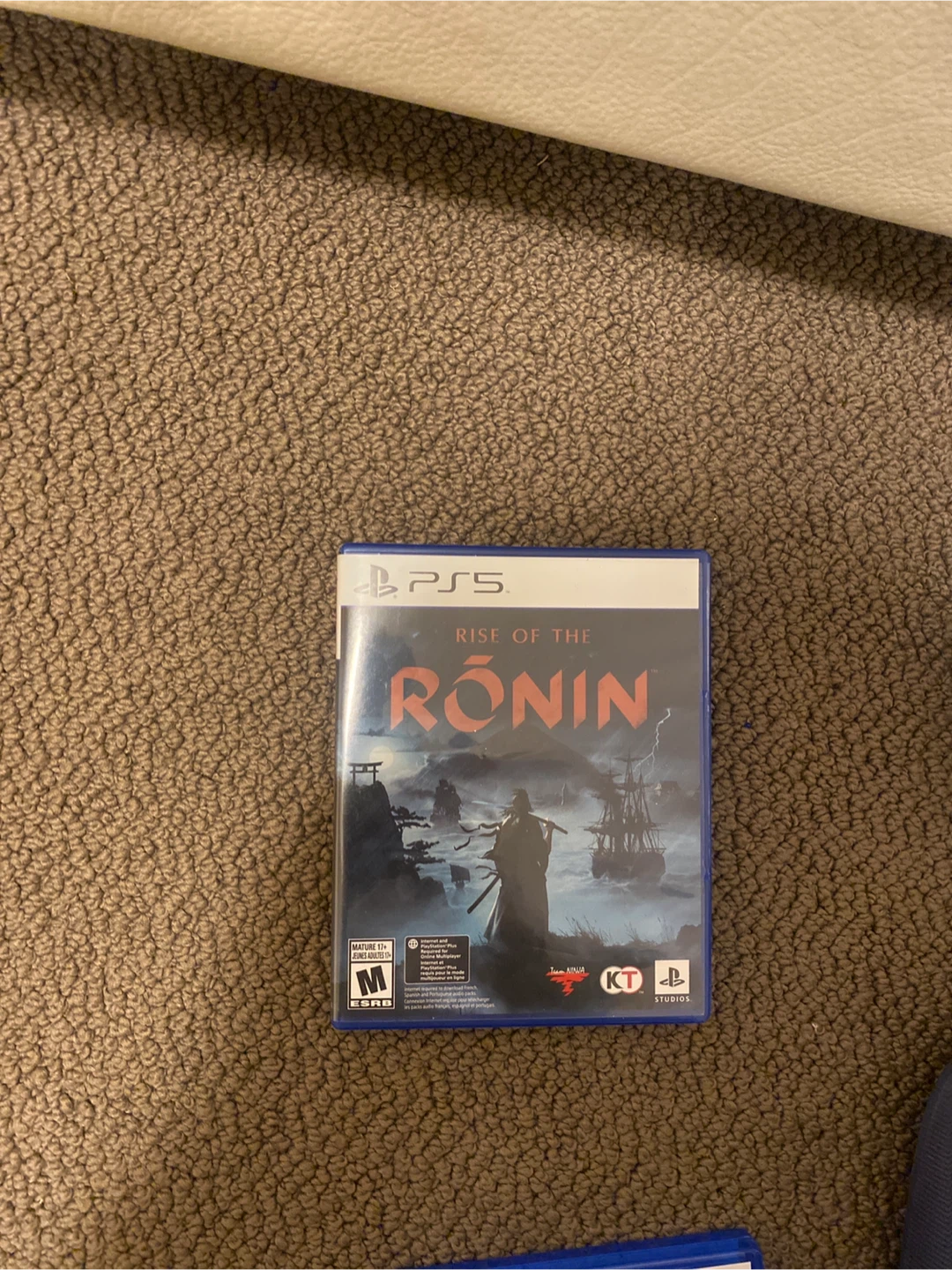PS5 Rise of the Ronin Video Game