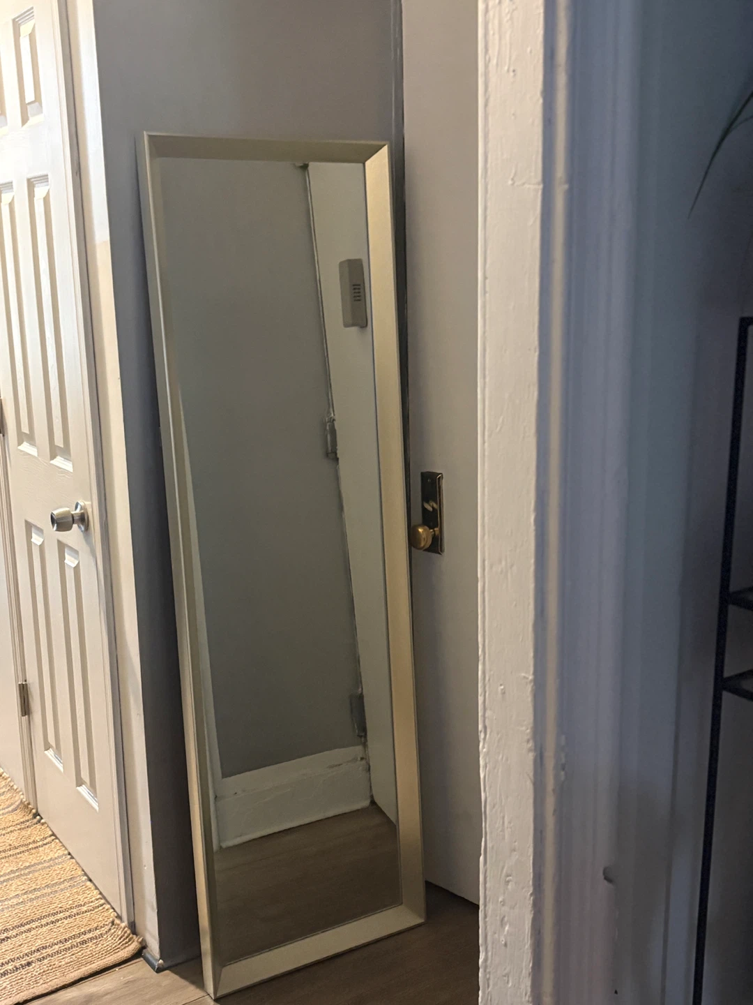Tall Floor Mirror