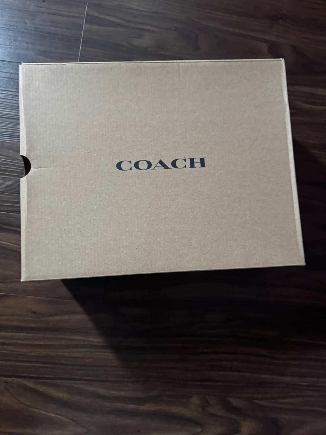 Coach Shoes