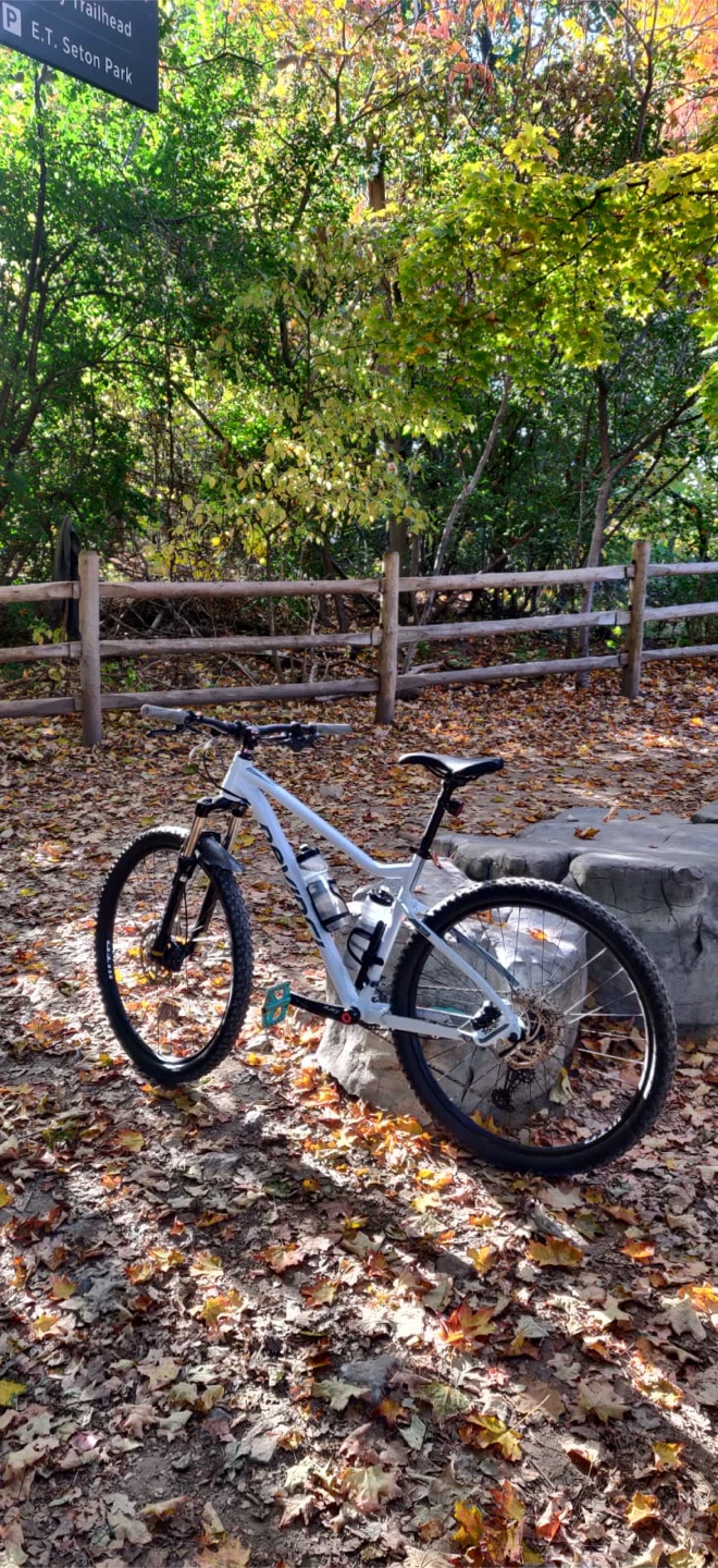DeVinci Mountain Bike 29” - White - photo 2