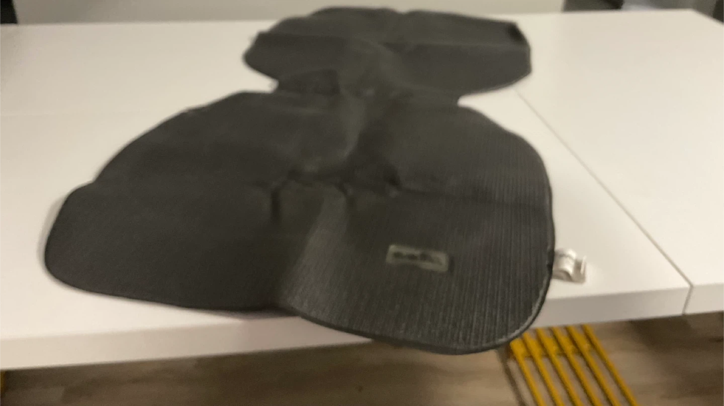 Evenflo Car Seat Protector