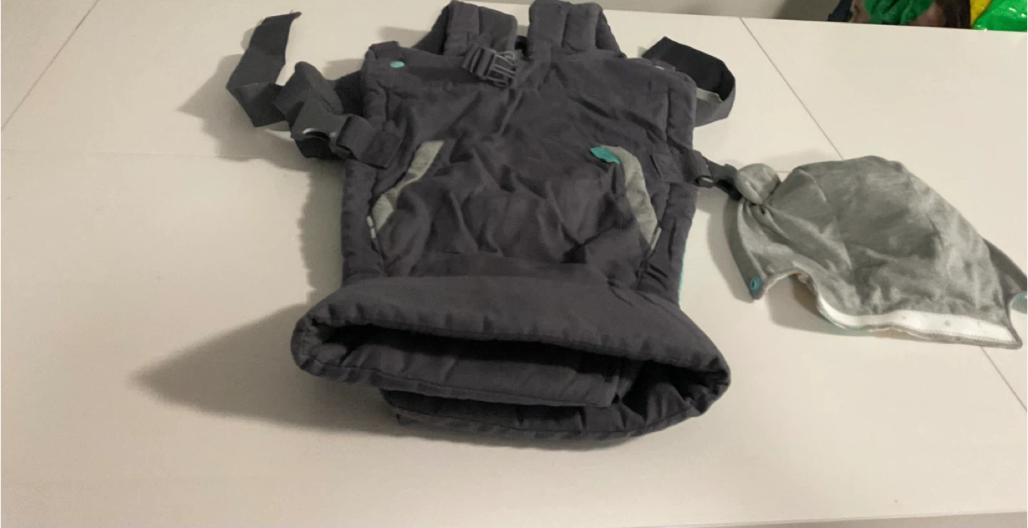 Baby Carrier with Hood