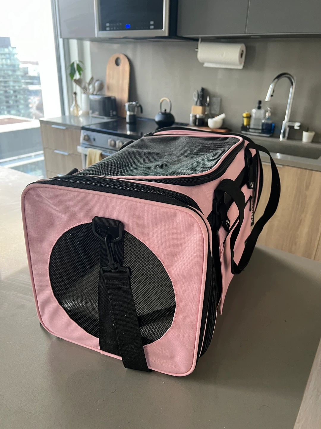 NextFri Pink Pet Carrier Bag - Medium