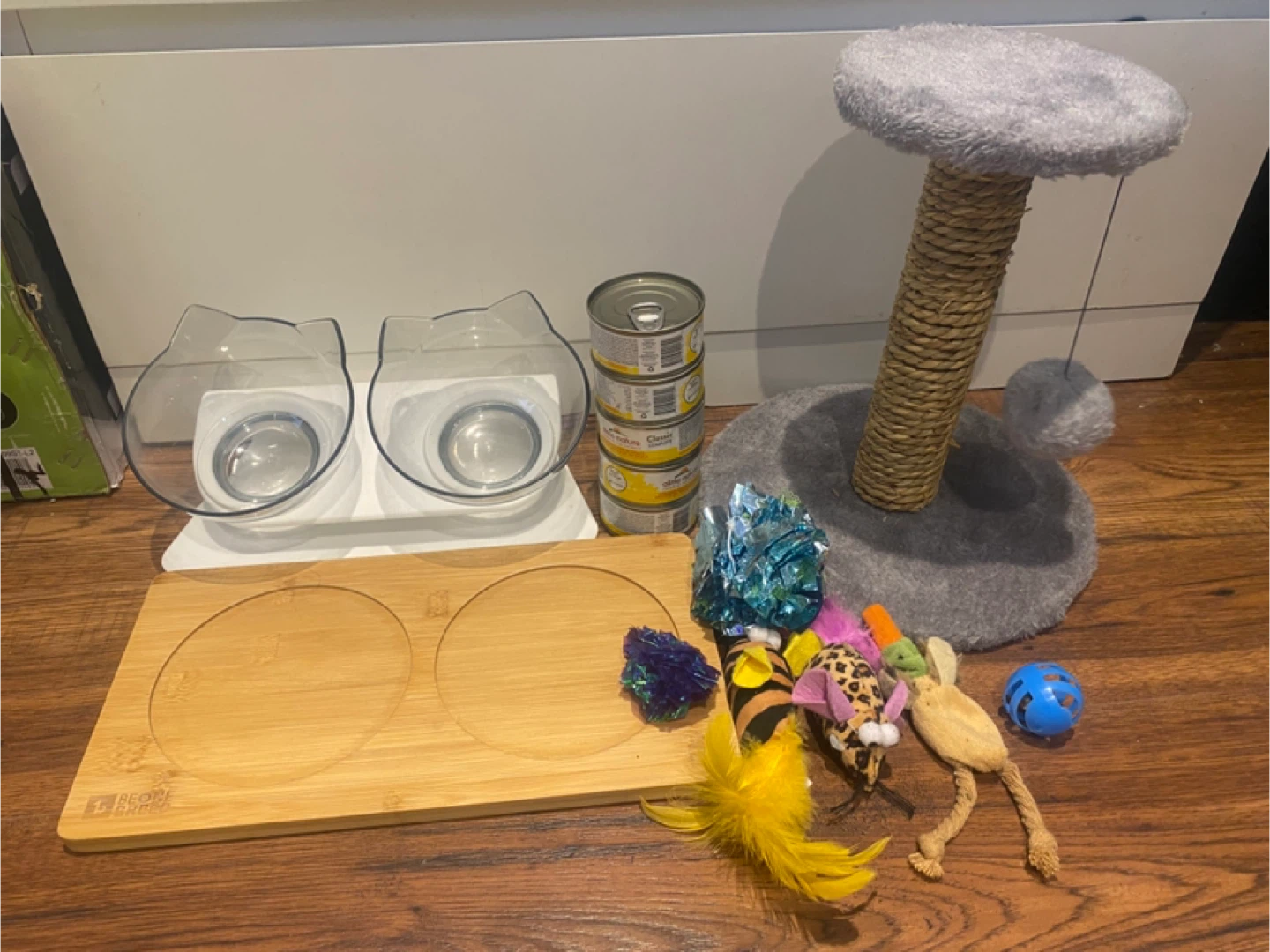 Cat Scratching Post, Toys, Food & More!
