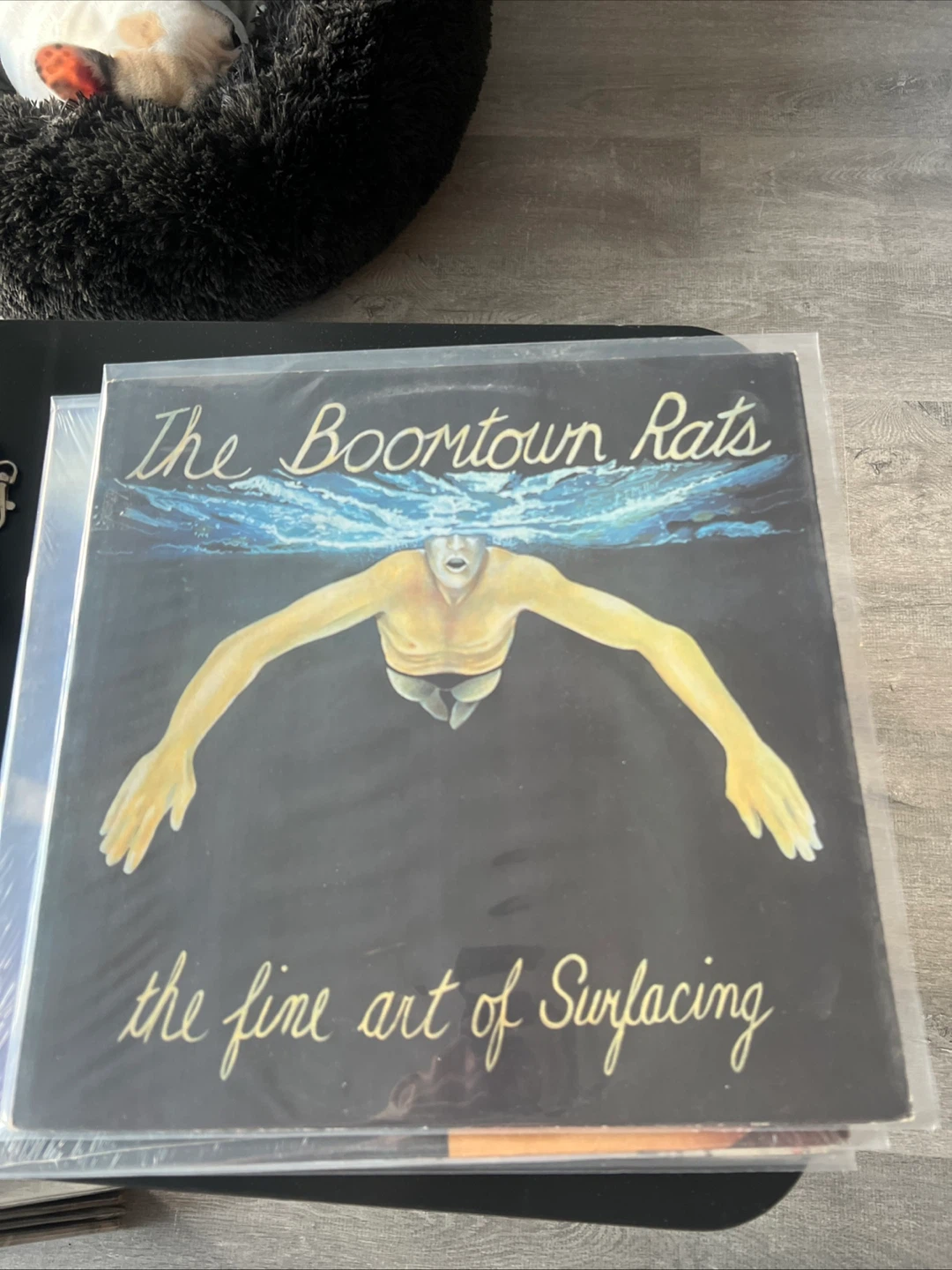 The Boomtown Rats The Fine Art of Surfacing Vinyl Record