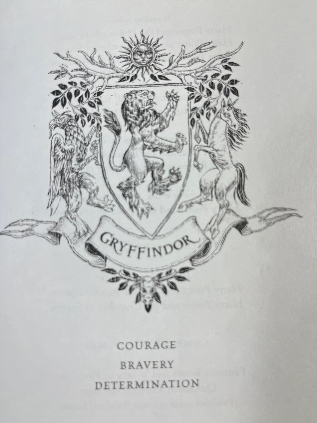 Harry Potter and the Philosopher's Stone Gryffindor Edition - photo 4