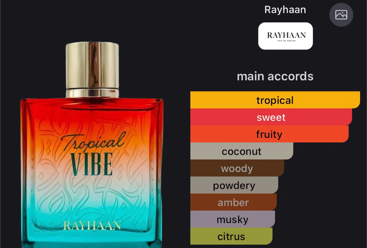 Rayhaan Tropical Vibe Eau de Parfum 100ml - photo 3