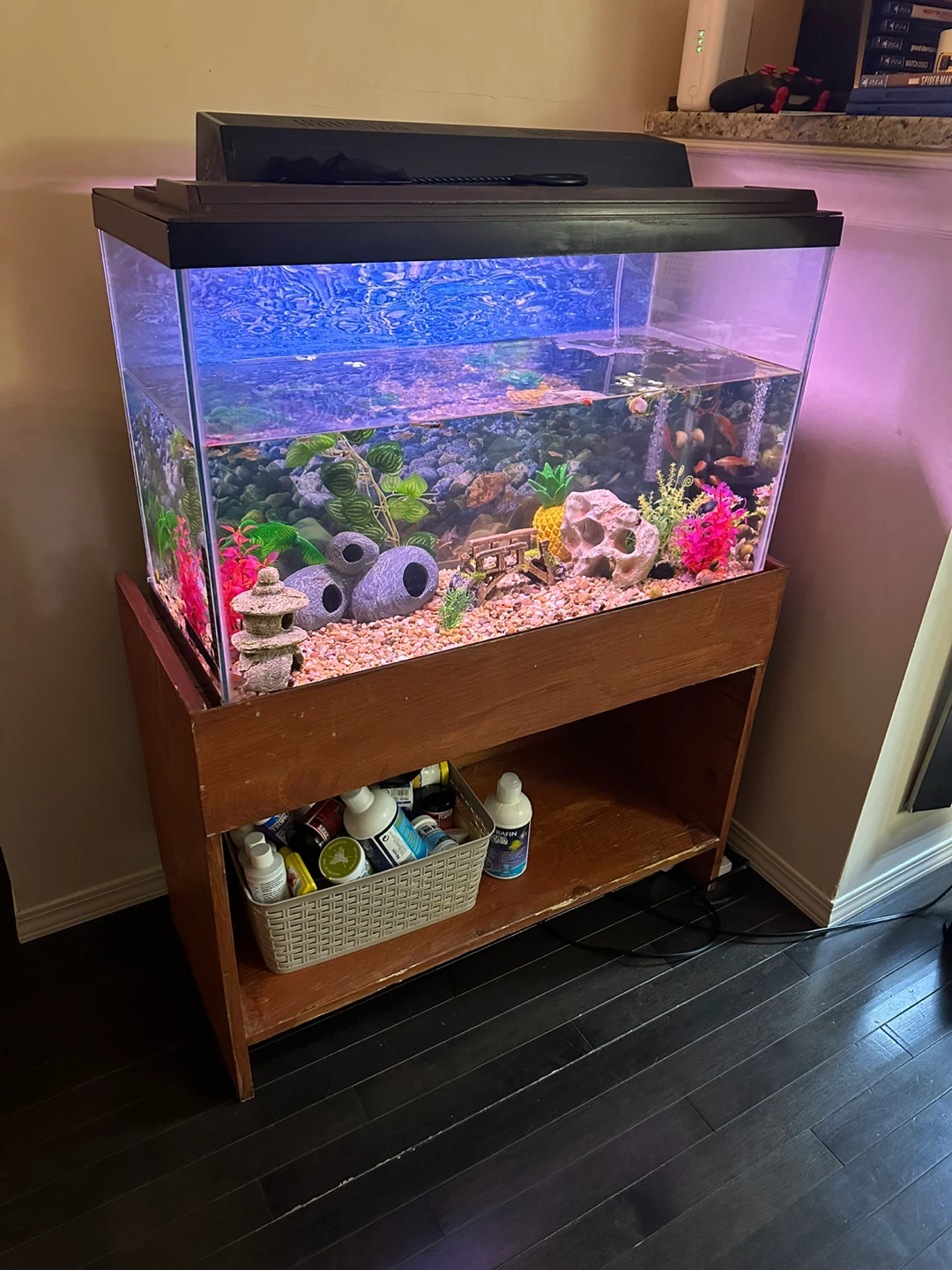 30gal Aquarium with Stand/lid/lights/filter - photo 2