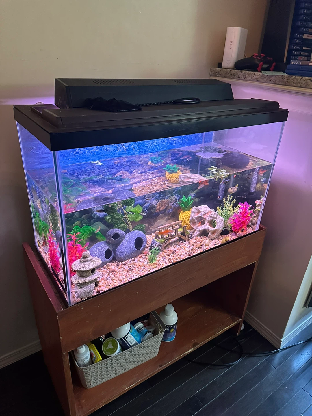 30gal Aquarium with Stand/lid/lights/filter