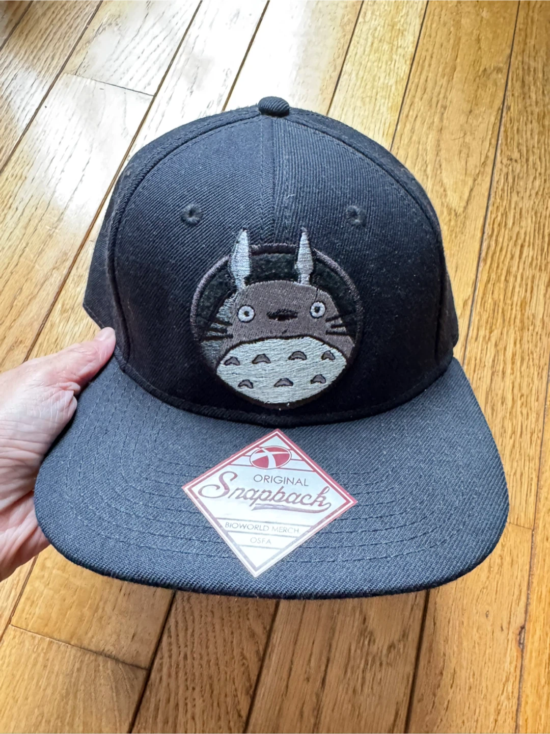 Totoro Embroidered Snapback Hat