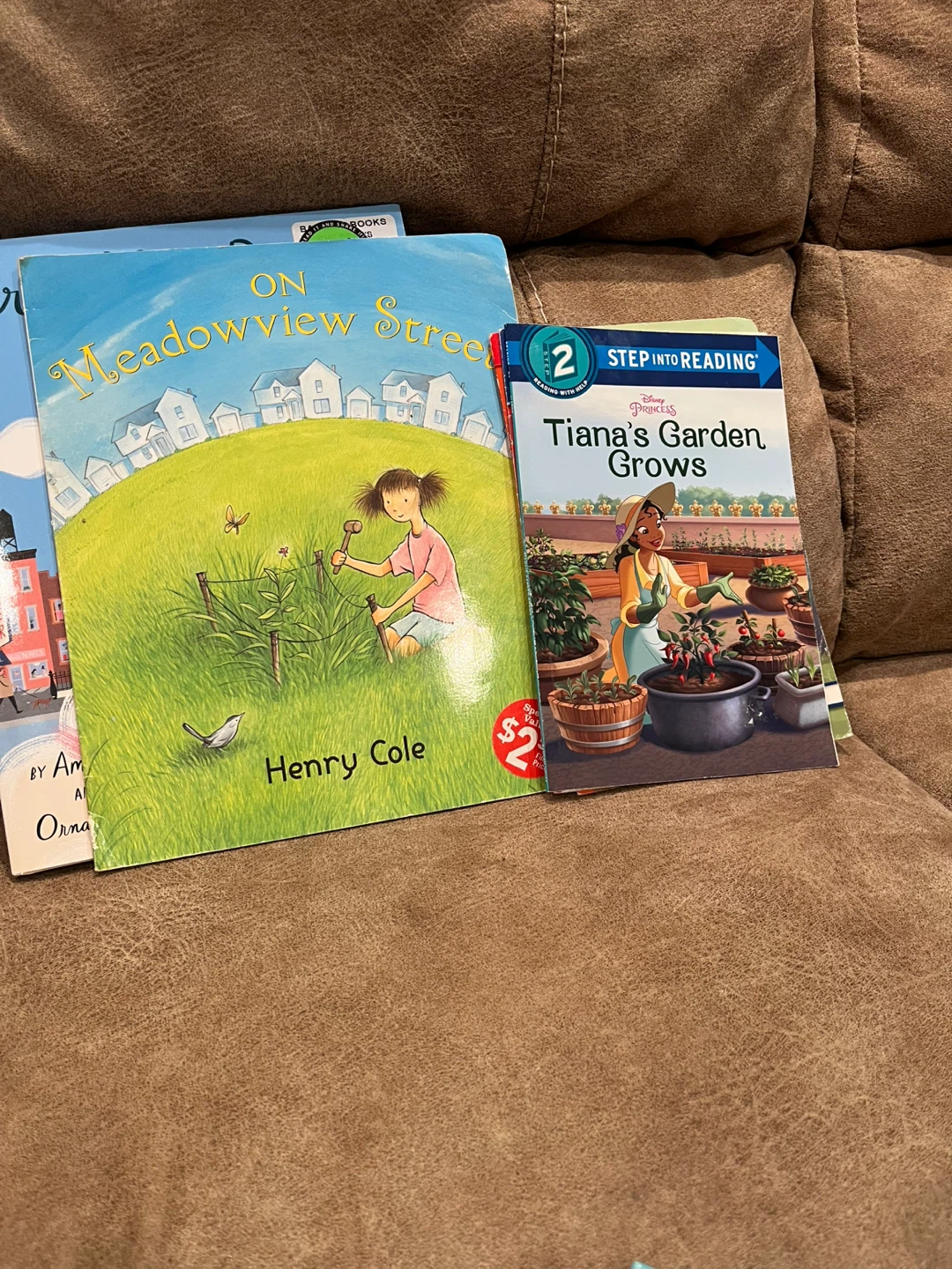 Children's Books Lot: Tiana's Garden & More - photo 2