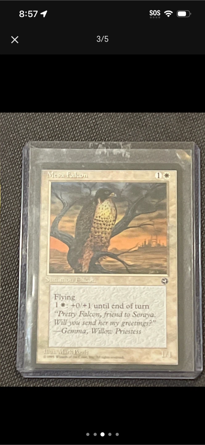 Magic: The Gathering "Young Guns" Collection - photo 3