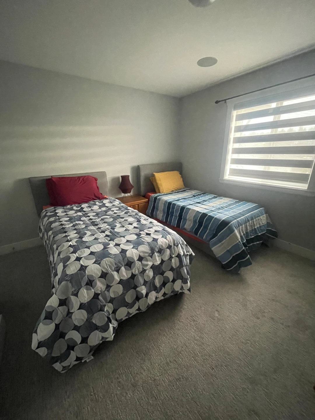 Shared room for rent