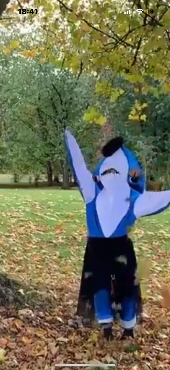 Katy Perry Shark Costume (Small) - photo 4
