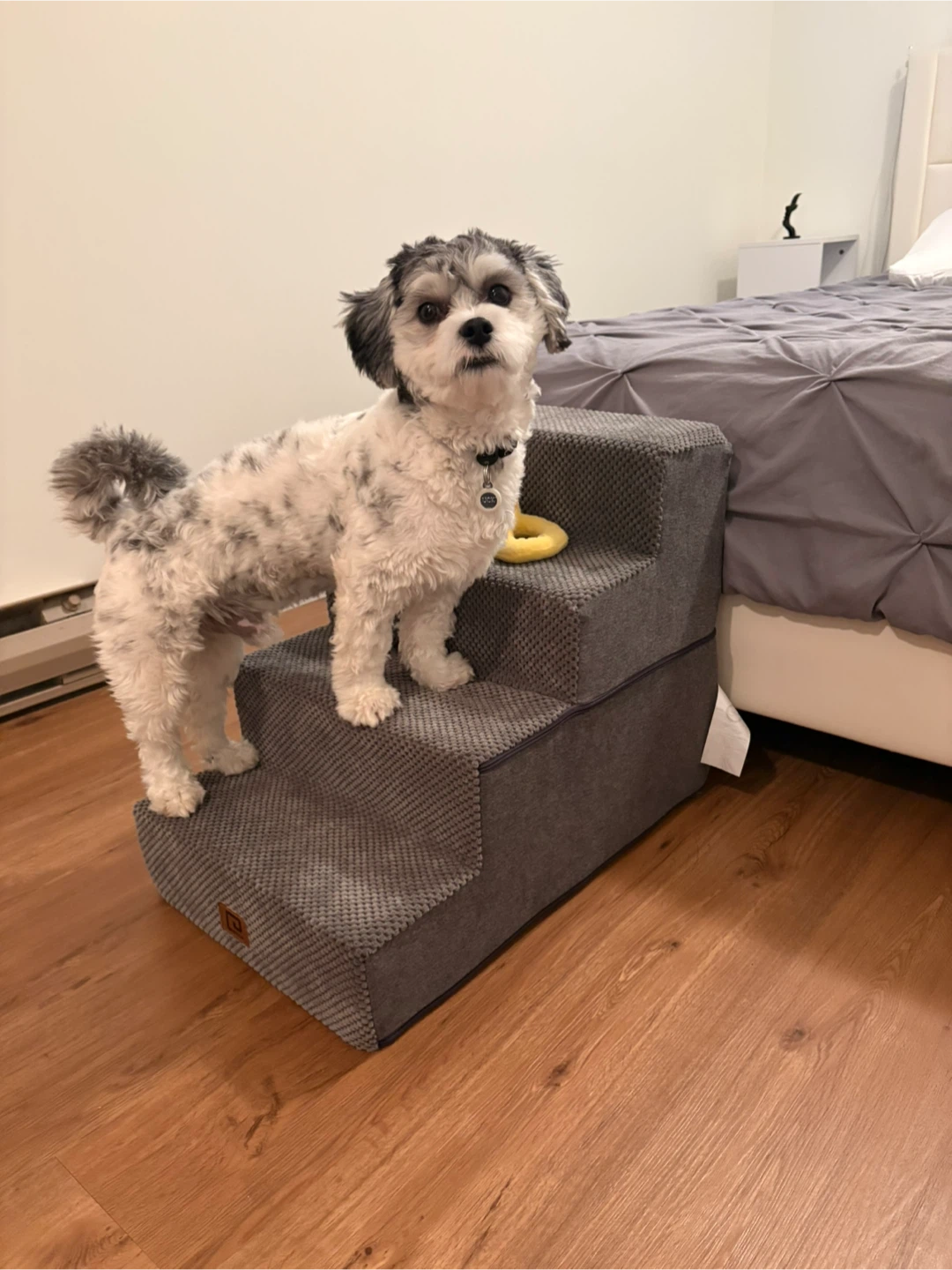 Grey 3-Step Pet Stairs