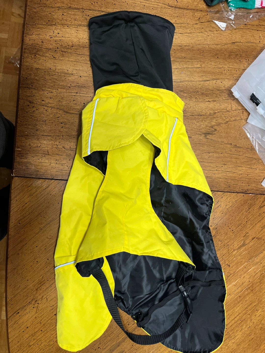 XL- Paw Paws Dog Raincoat Yellow