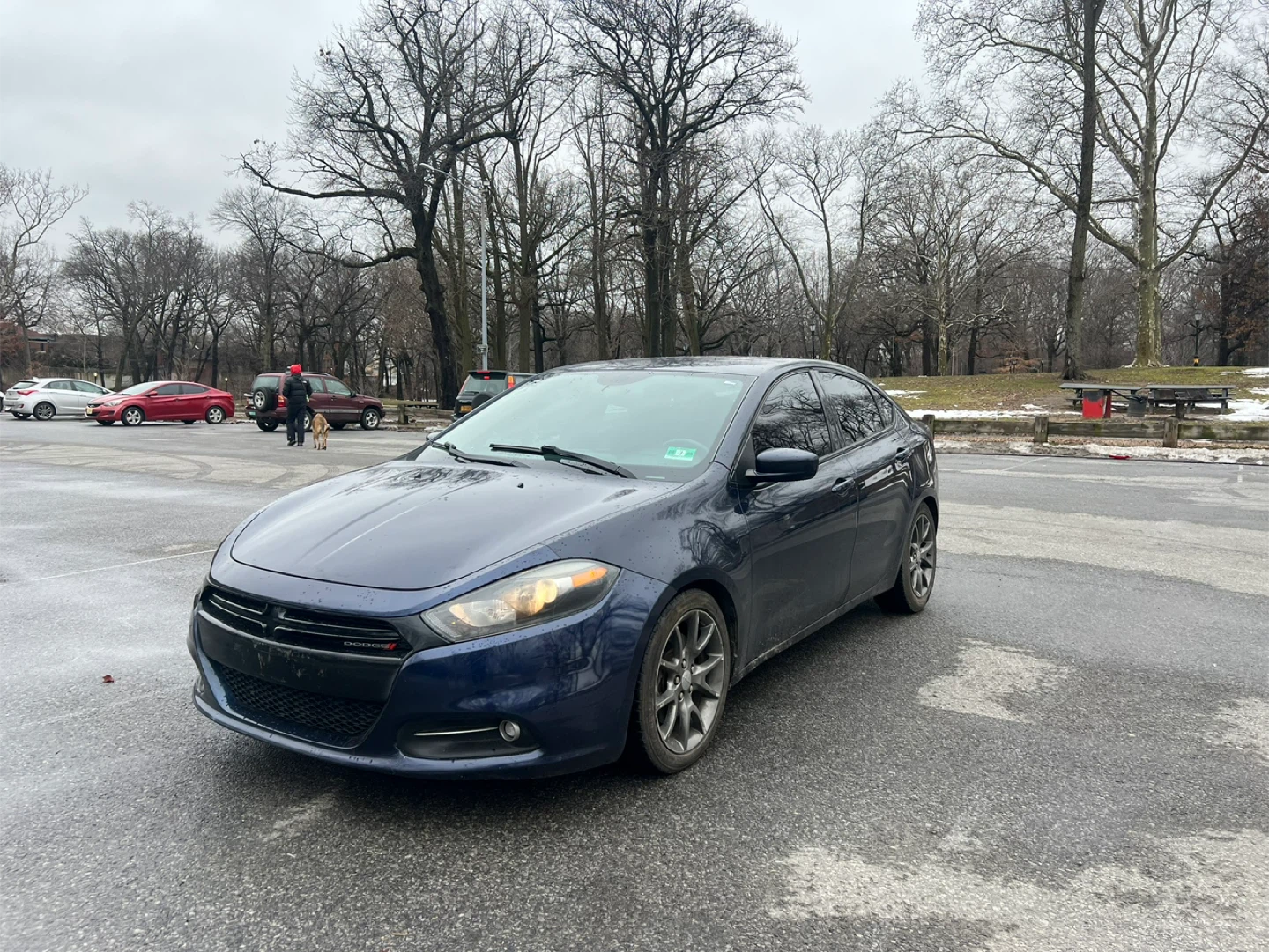 Dodge Dart Rally Sedan - photo 4