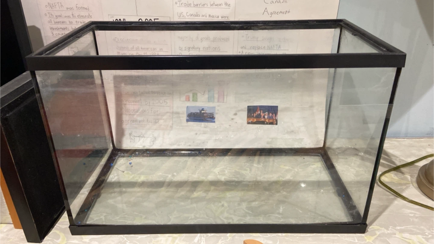 10 gallon Glass Aquarium Tank