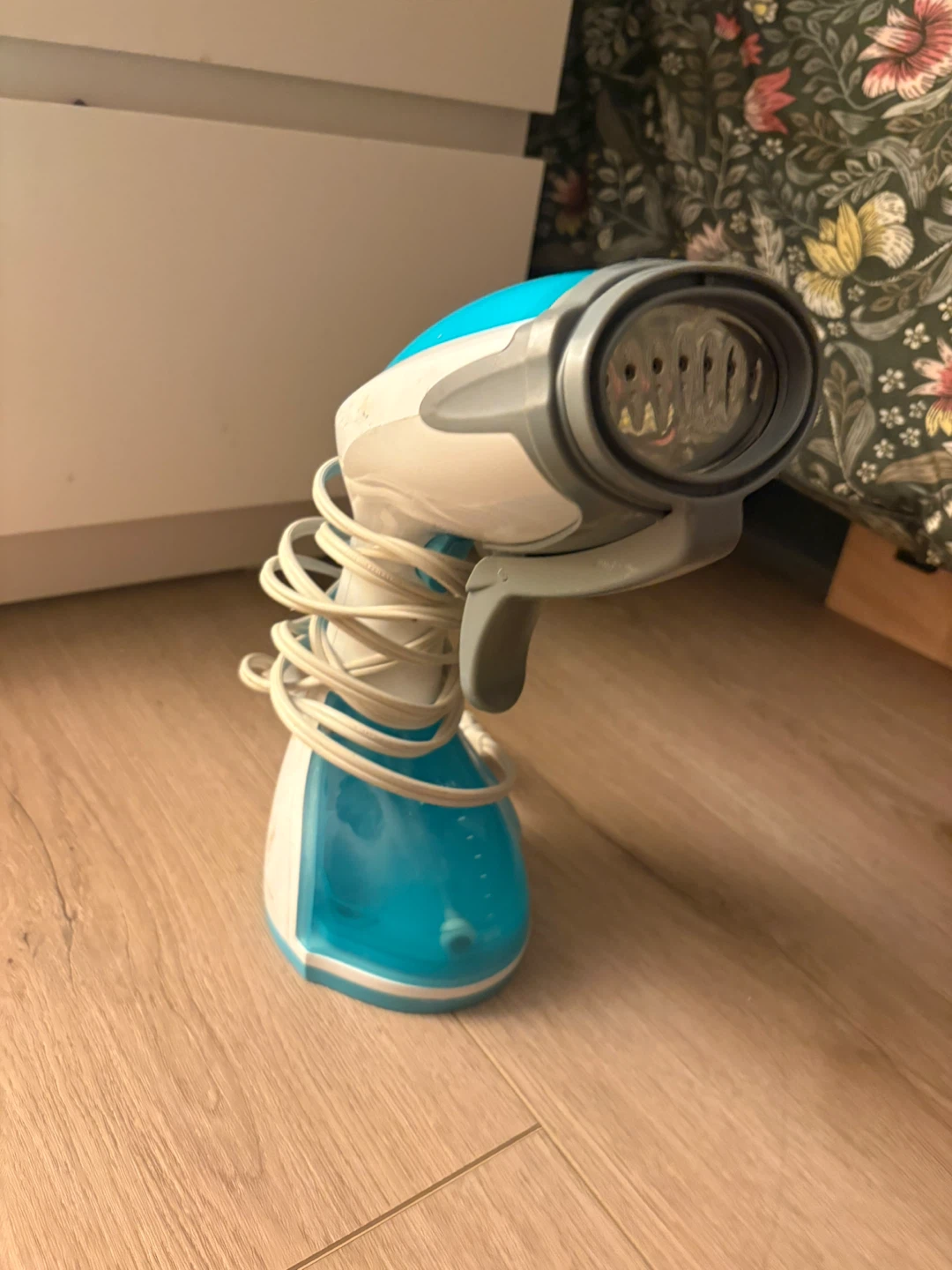 Handheld Steamer