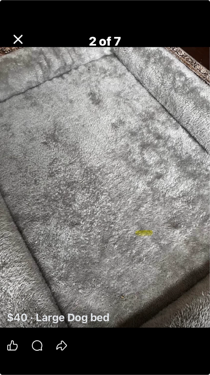 EHEYCIGA Large Memory Foam Dog Bed with Sides - Grey - photo 4