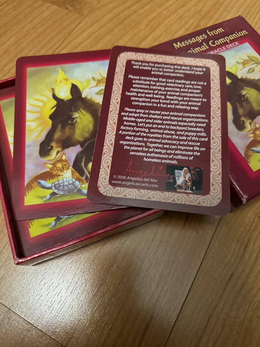 Messages from Your Animal Companion Oracle Deck - photo 2