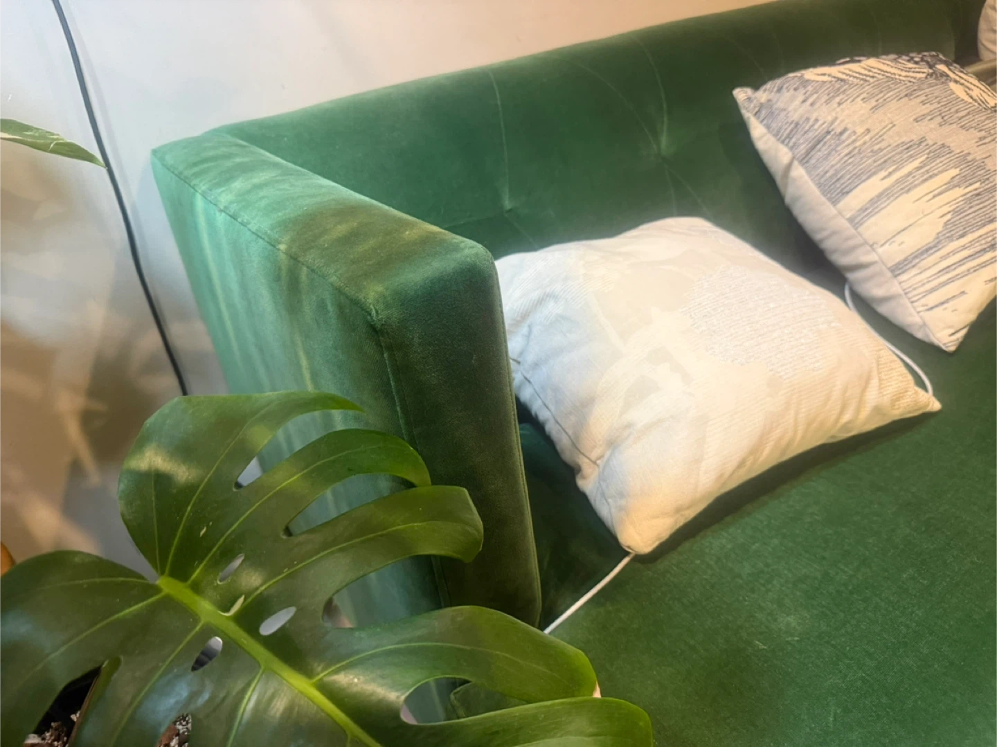 CB2 Avec Velvet Sofa in Emerald Green - photo 5