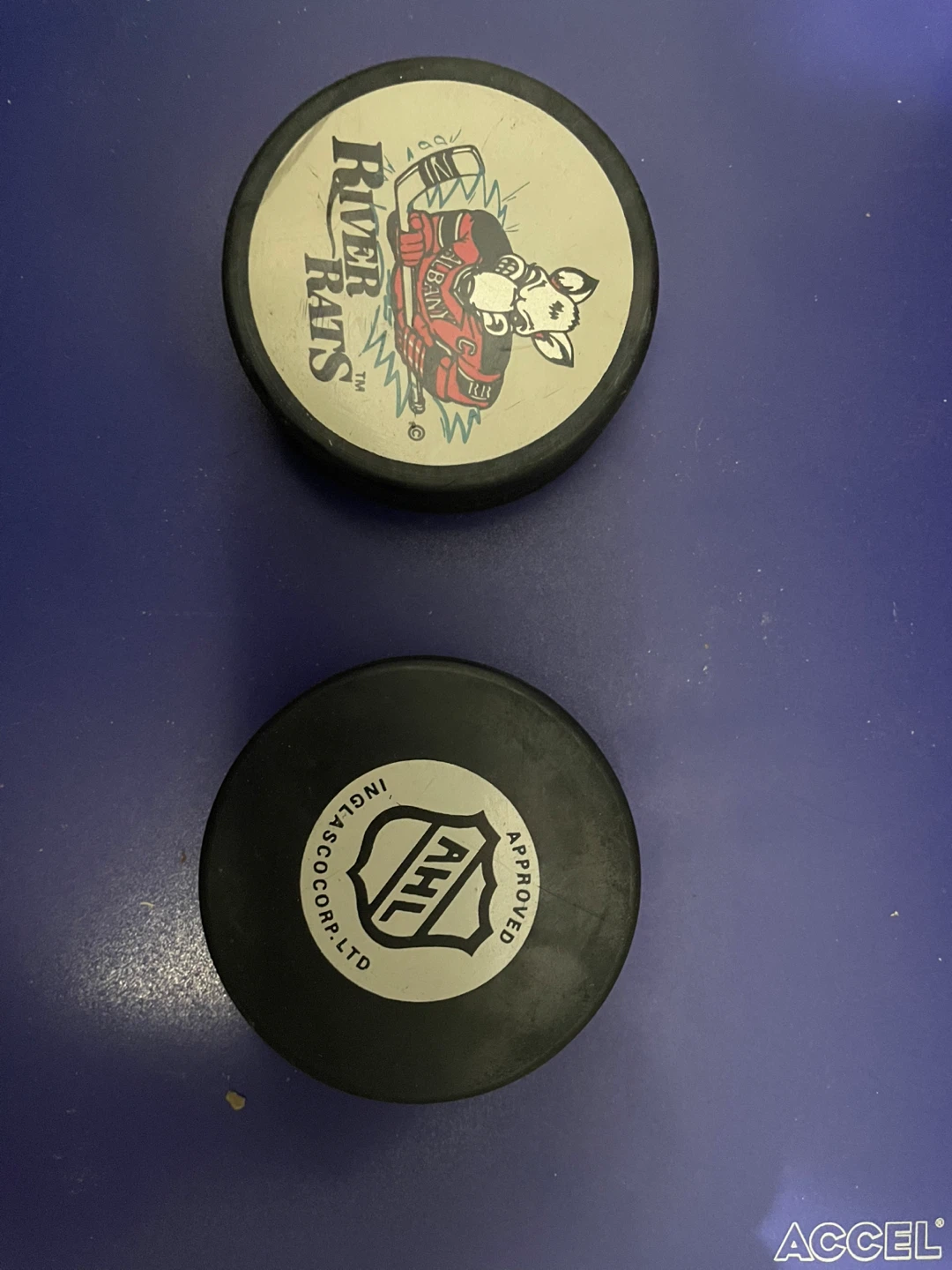 2 Albany River Rats AHL Approved VA Hockey Pucks