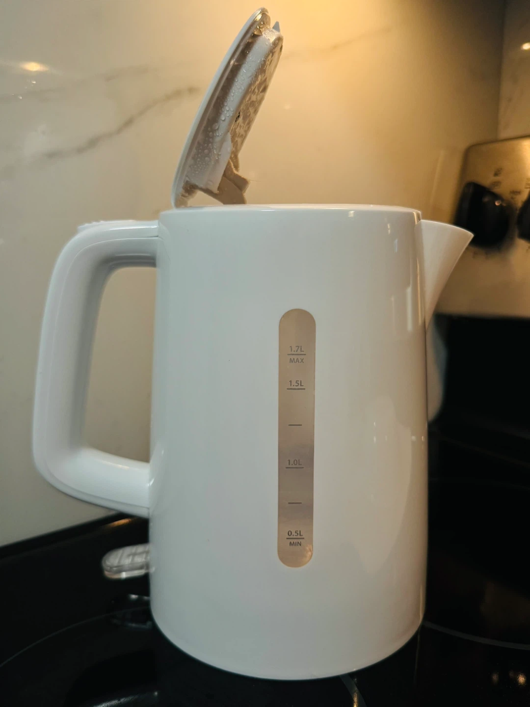 White Electric Kettle