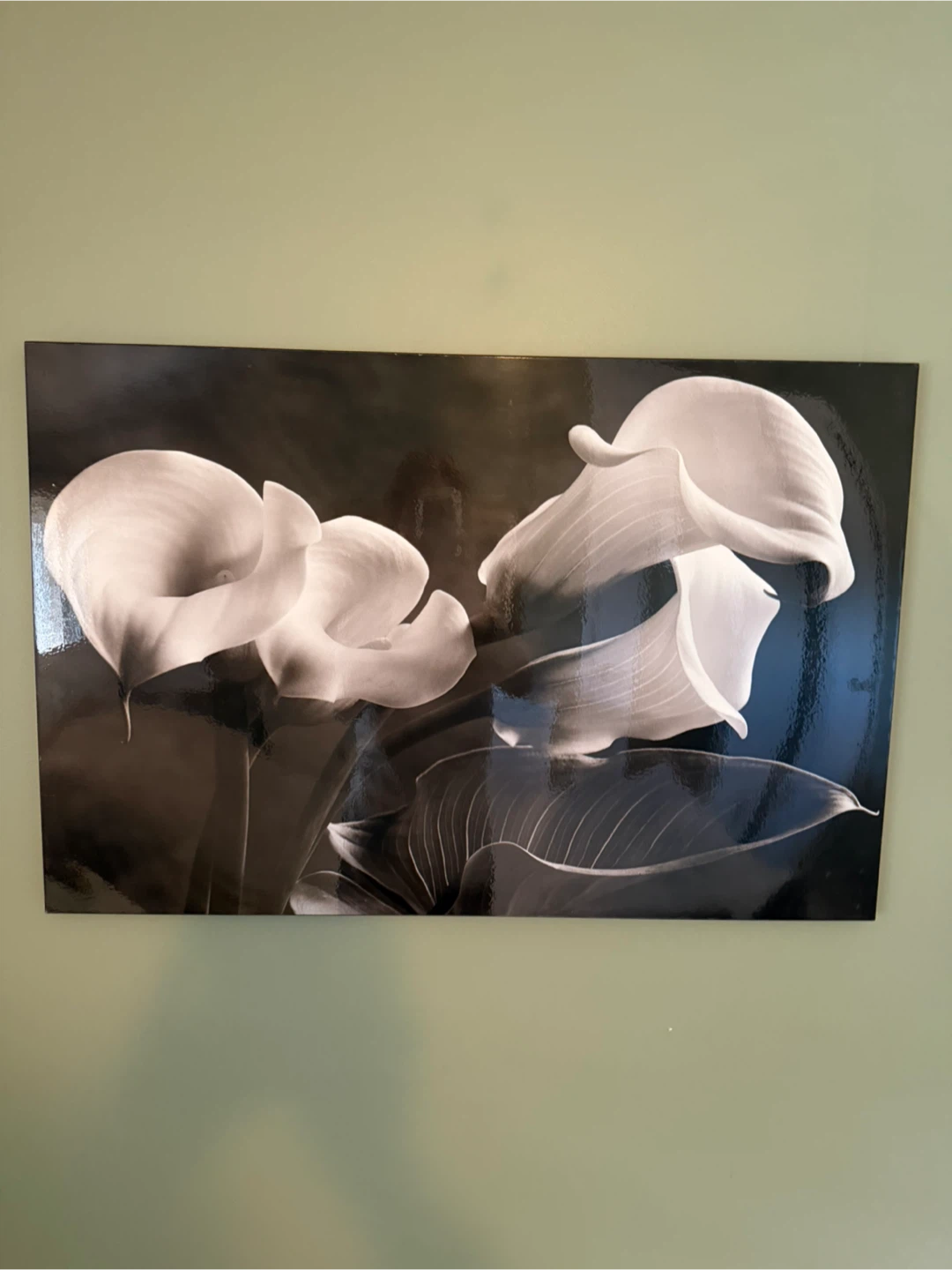 Calla Lily Wall Art Print - photo 3