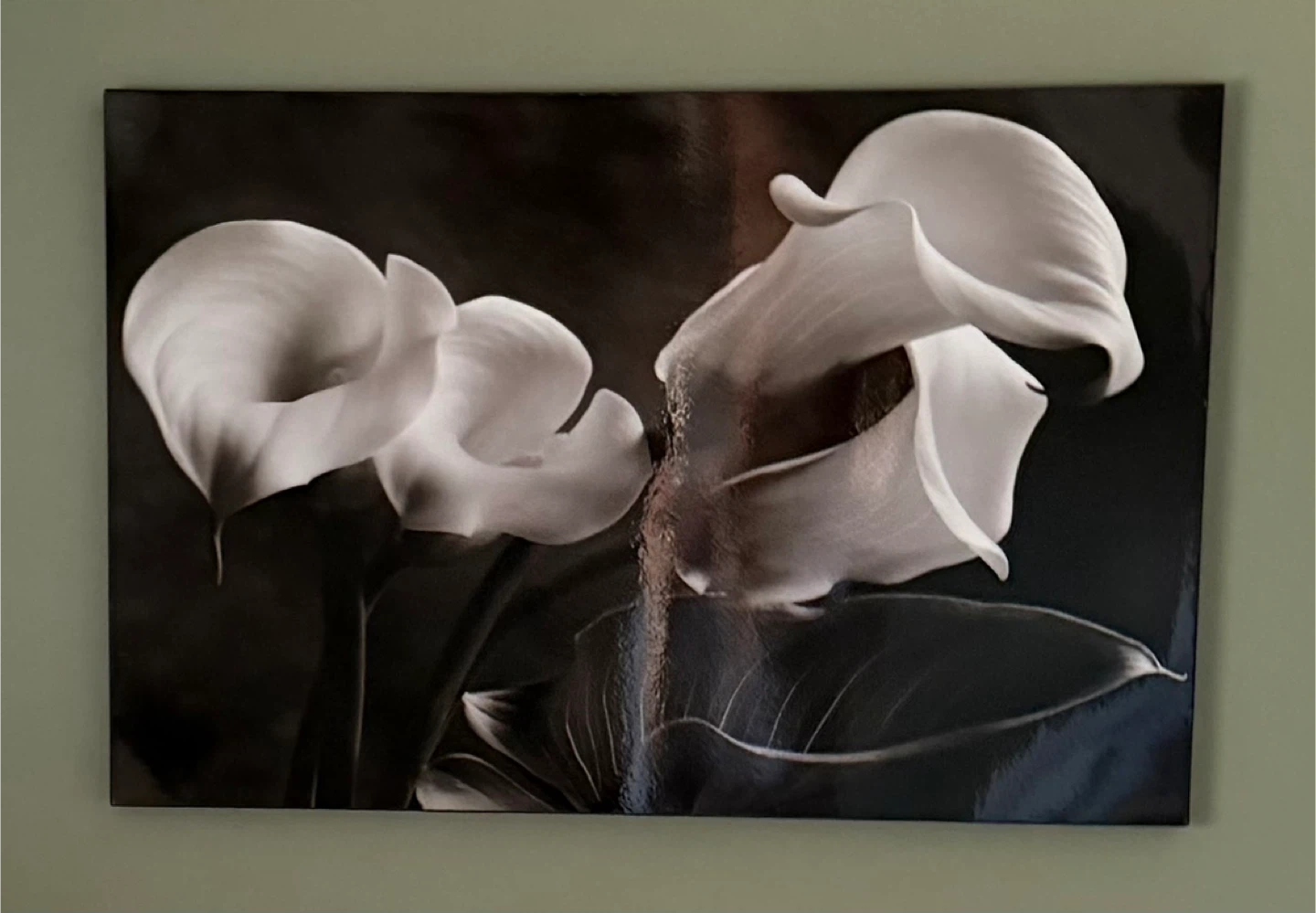Calla Lily Wall Art Print
