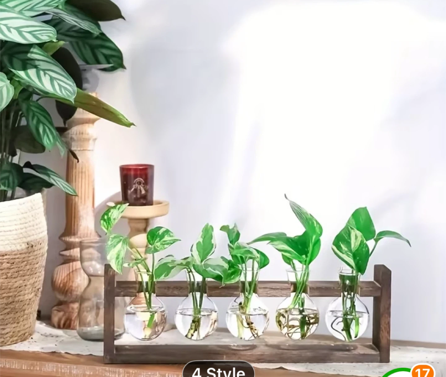 Wooden Hydroponic Plant Vases with 5 Glass Bulbs - photo 4