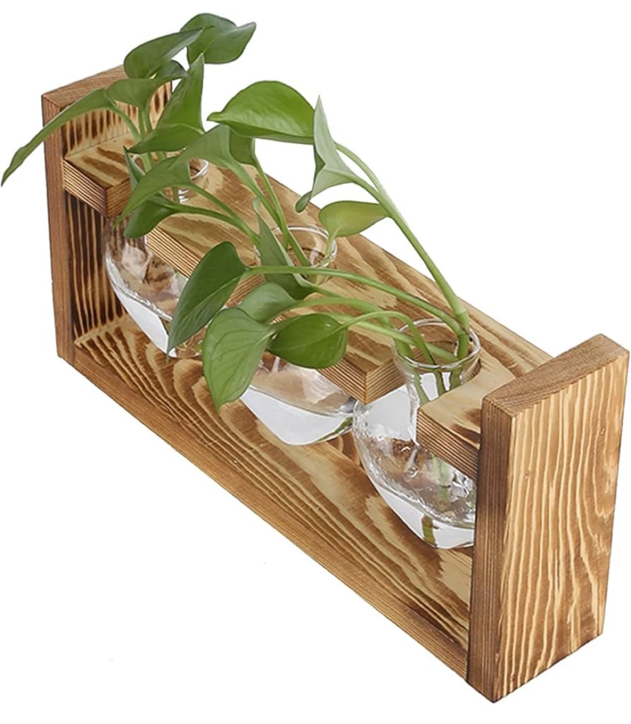 Wooden Hydroponic Plant Vases with 5 Glass Bulbs - photo 3