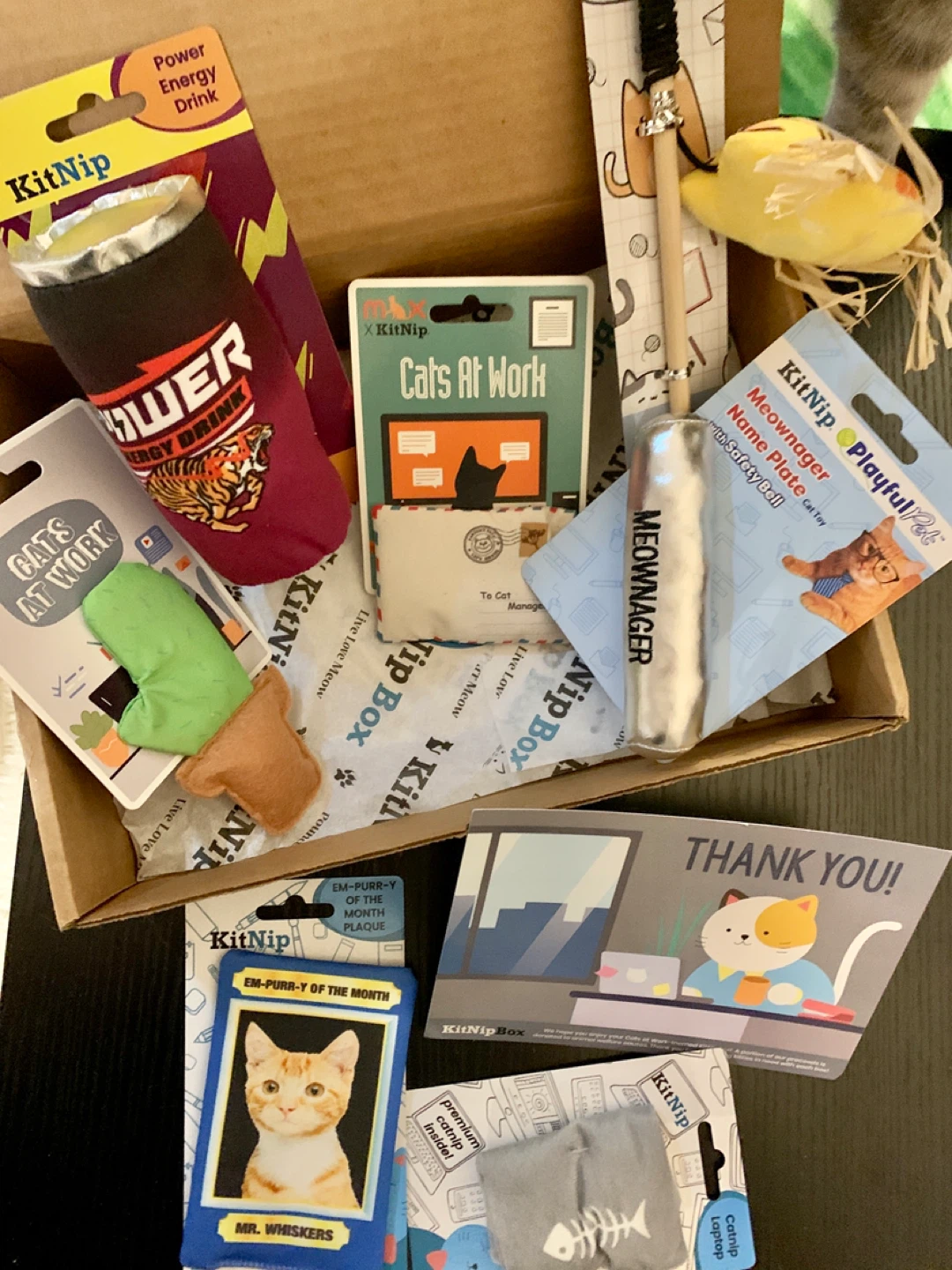 ‼️MOVING SALE‼️KitNipBox "Cats At Work" Cat Toys & Treats - photo 2