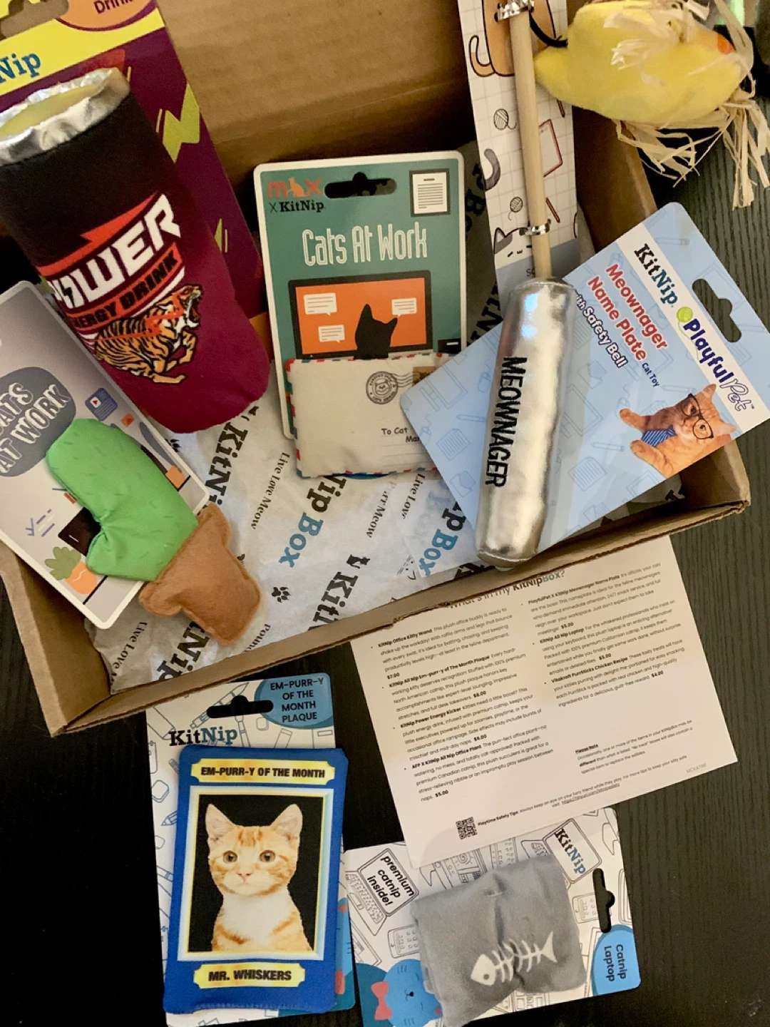 ‼️MOVING SALE‼️KitNipBox "Cats At Work" Cat Toys & Treats