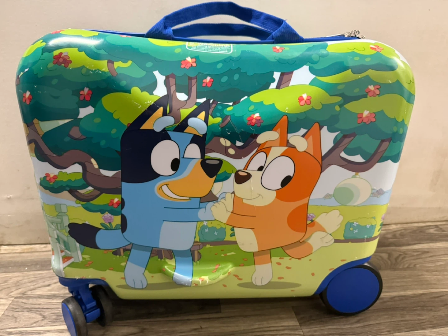 Kids Bluey Hard-Shell Rolling Suitcase