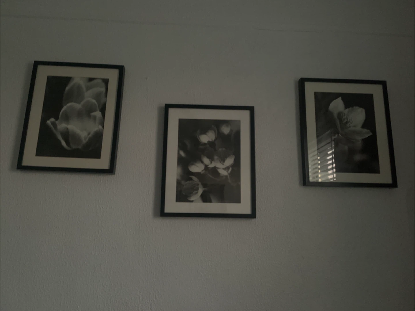 IKEA Set of 3 Framed Black and White Floral Wall Art