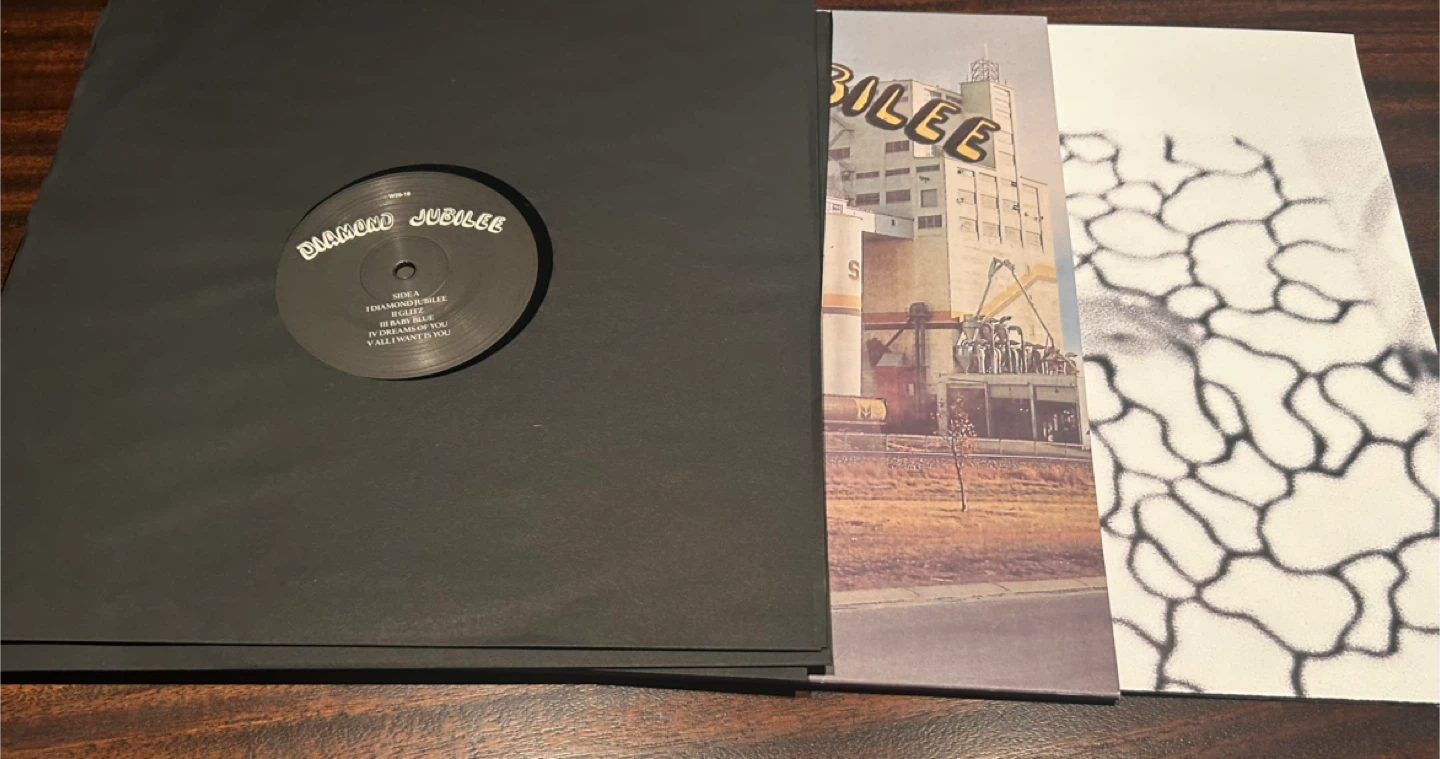 Cindy Lee’s Diamond Jubilee 3LP Vinyl Record - photo 4