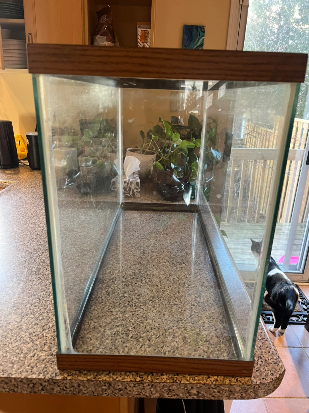 30 Gallon  Aquarium Tank - photo 3