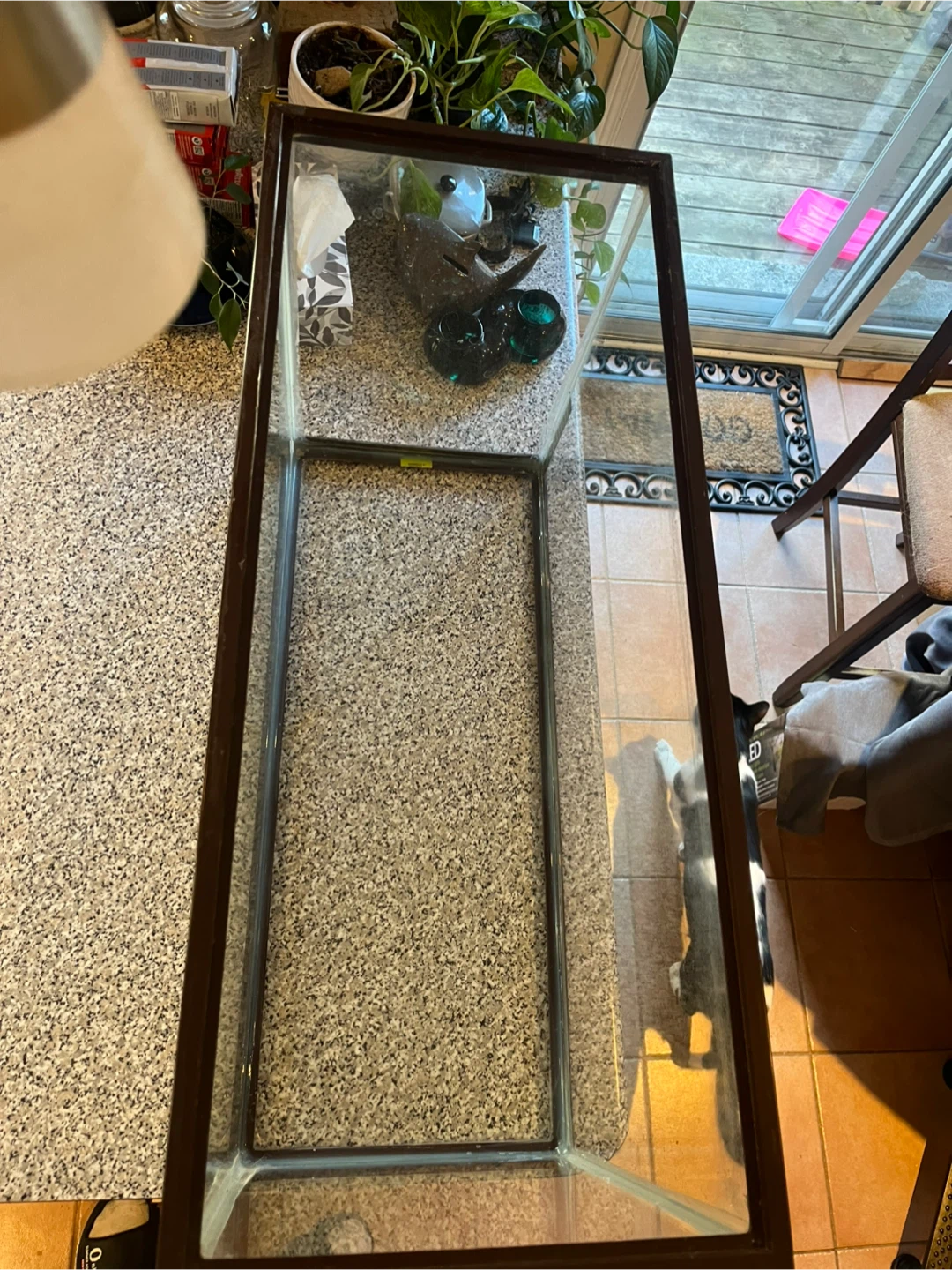30 Gallon  Aquarium Tank - photo 2