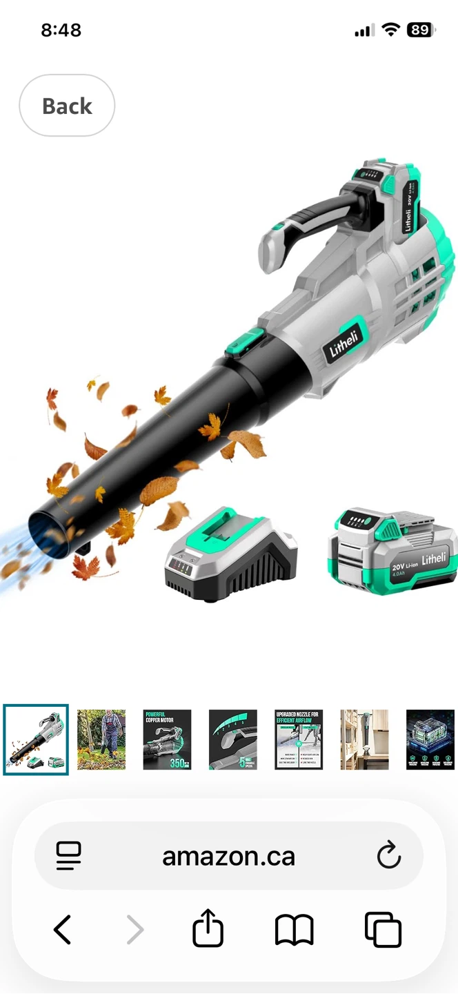 Litheli 20V Cordless Leaf Blower Kit