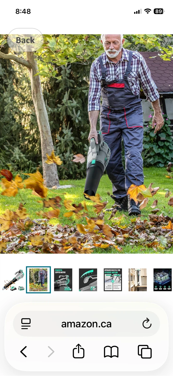 Litheli 20V Cordless Leaf Blower Kit - photo 2